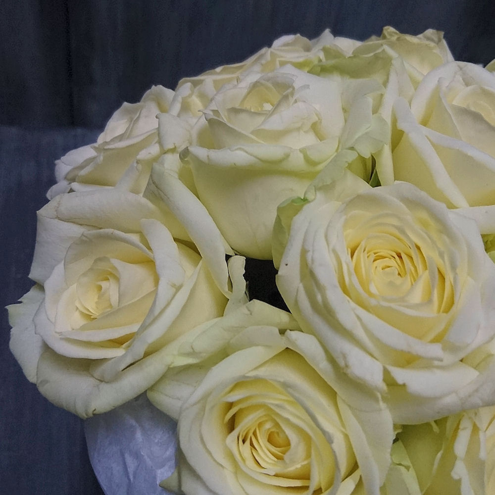 Букет из белых роз в шляпной коробке 