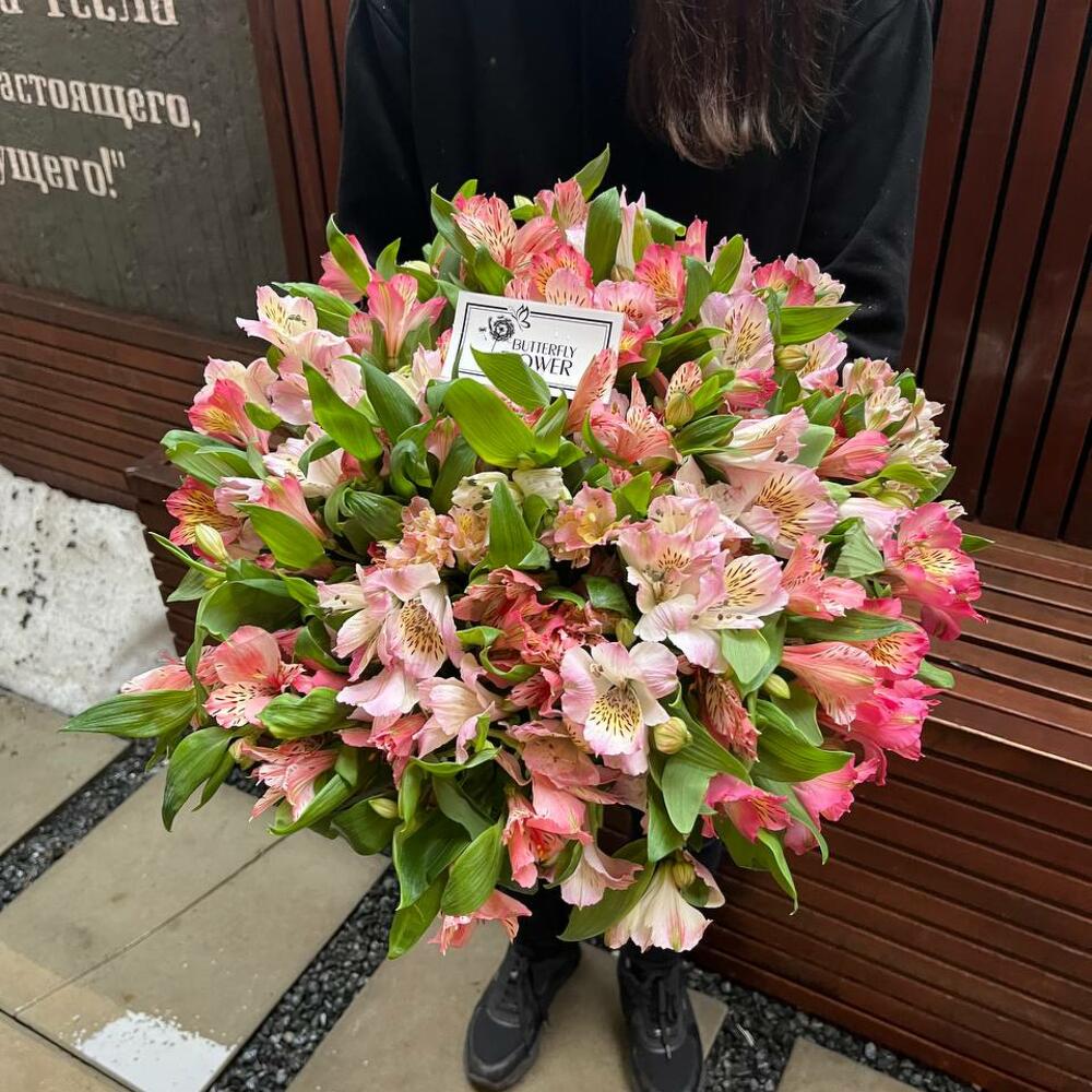 Букет из 39 розовых альстромерий 