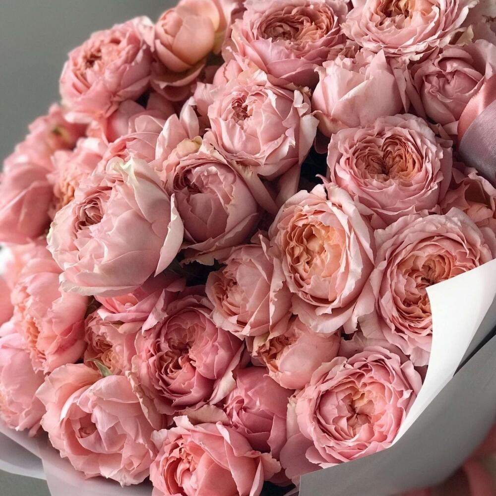 Роза кустовая пионовидная Джульетта Роза кустовая пионовидная Джульетта