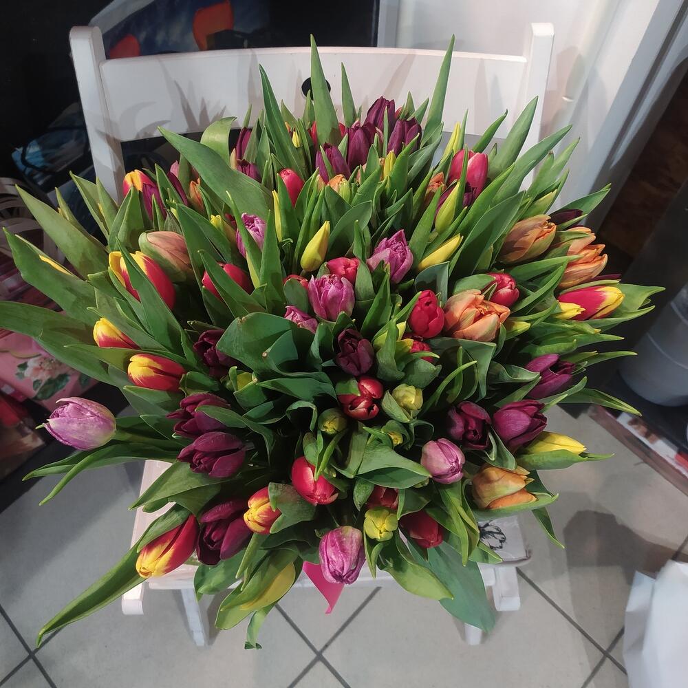 Тюльпаны в шляпной коробке Тюльпаны в шляпной коробке