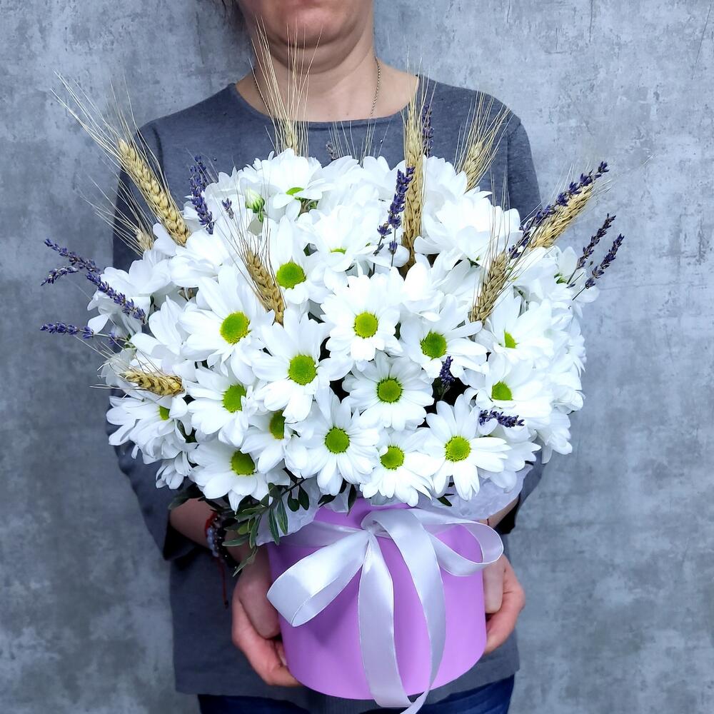 Ромашковое поле с лавандой Ромашковое поле с лавандой