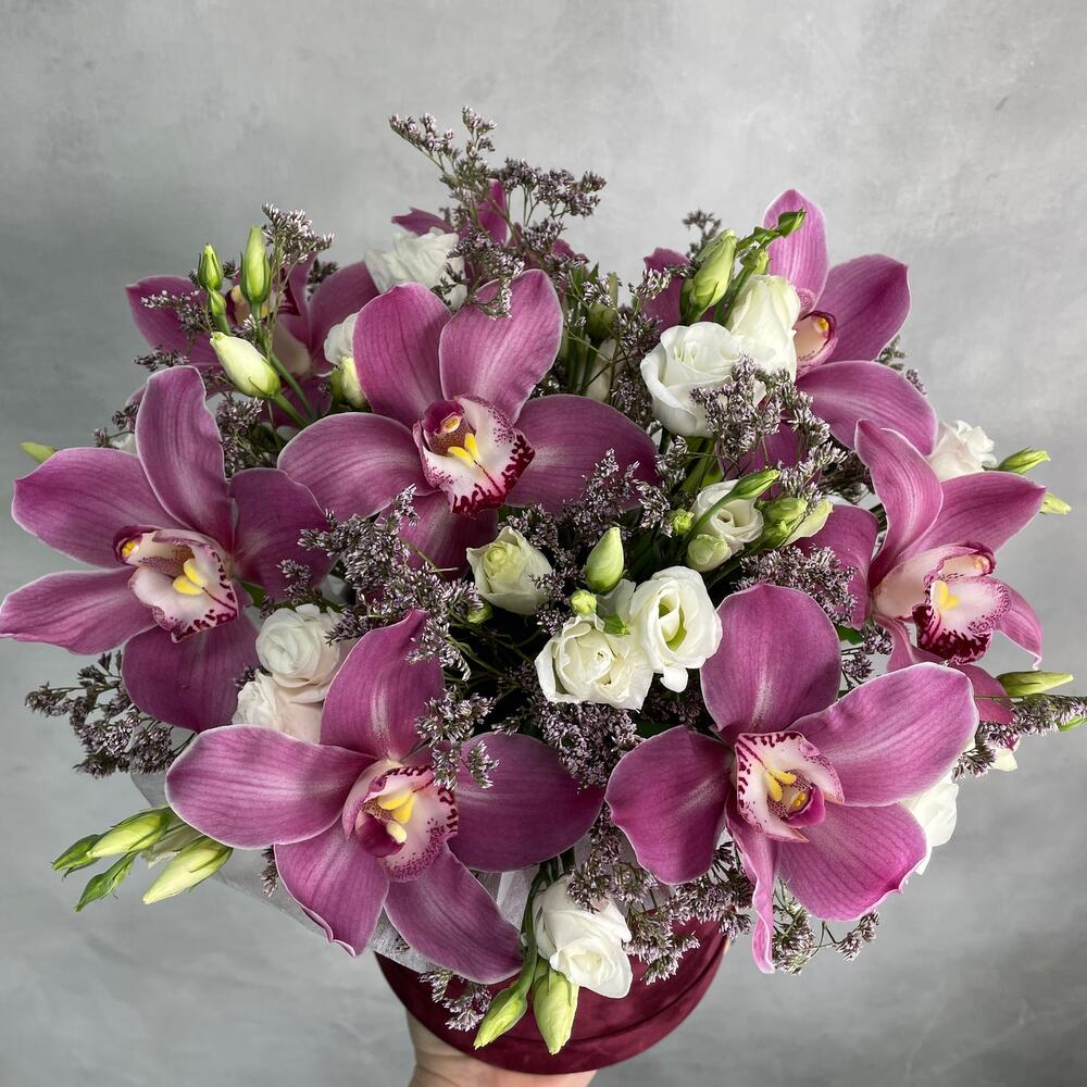 Роскошные орхидеи M Роскошные орхидеи M