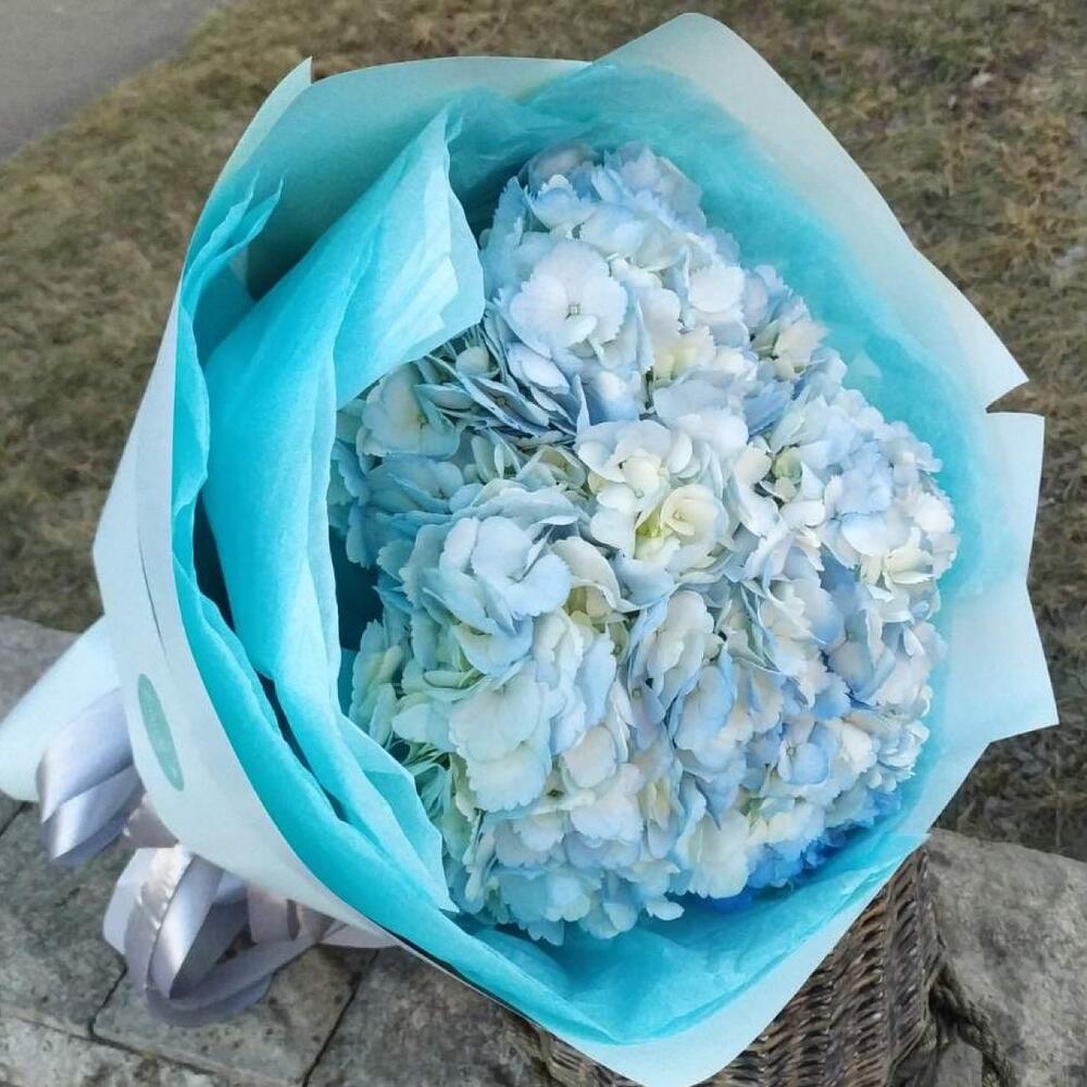 Букет из 5 гортензий