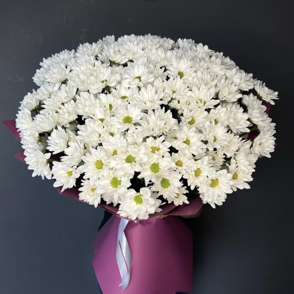 Хризантемы