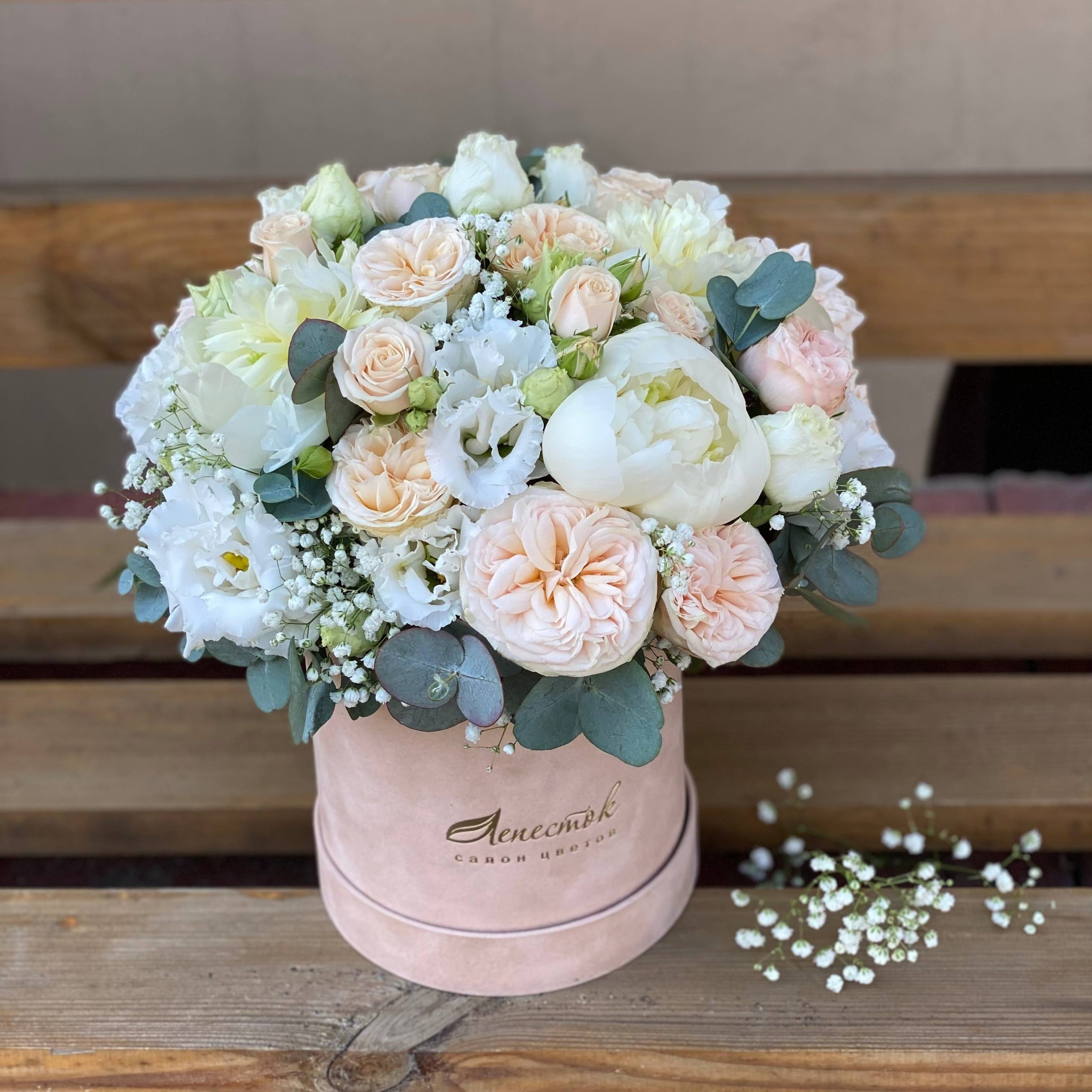 19b69e27-88c1-4de6-8334-b393326bea27