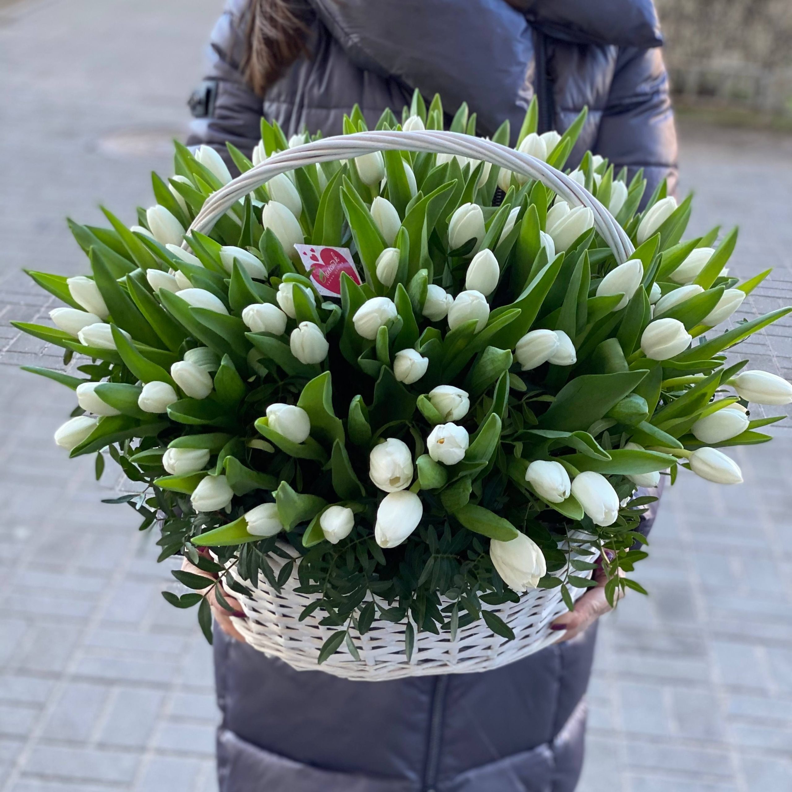 2628bf2c-f134-4492-903a-4f5597db49d3