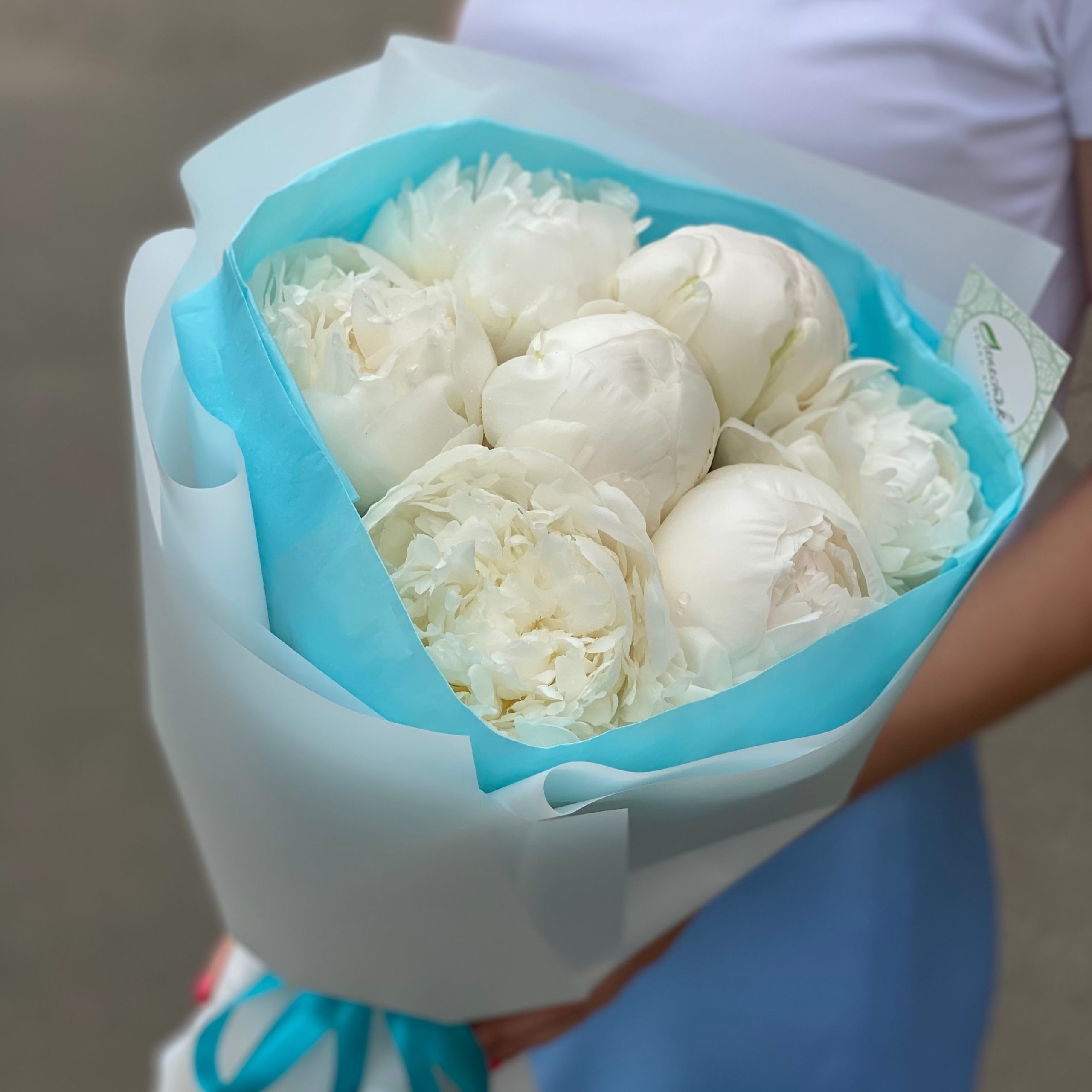 d1731e79-96cf-463a-8faa-d8d80cdd80e9